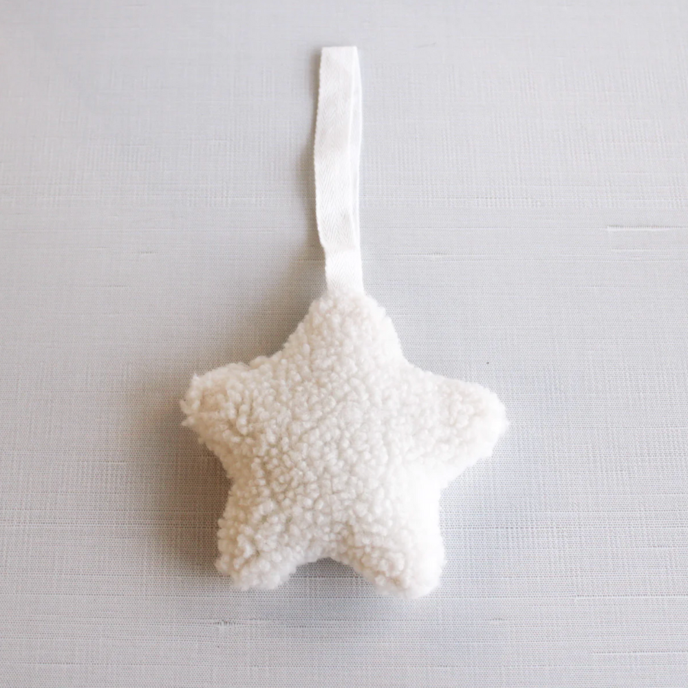 Plush Star Pacifier Lovey