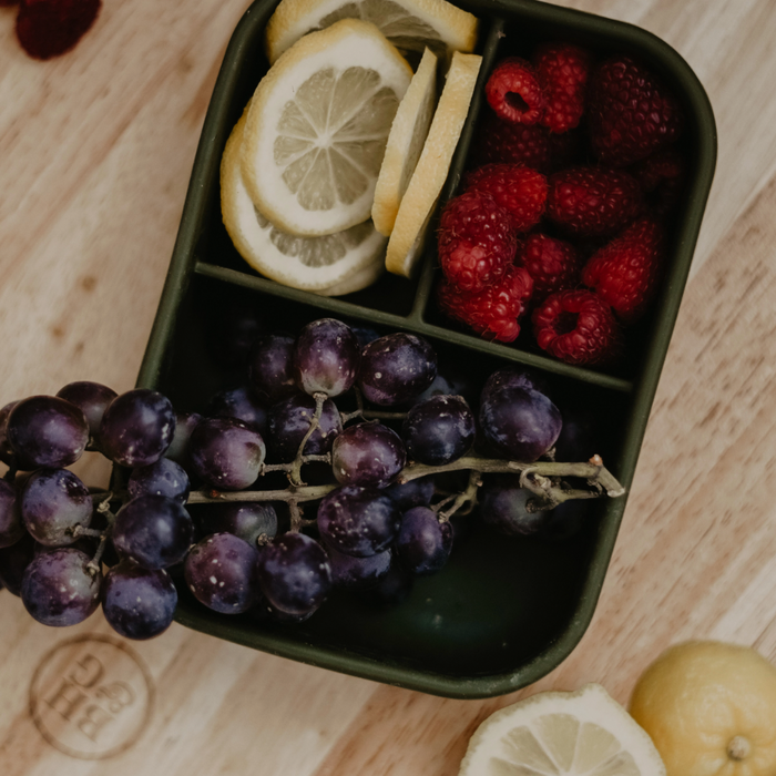 Silicone Bento Box- Juniper