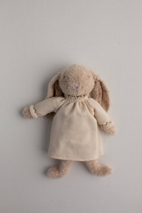 The Little Bunny