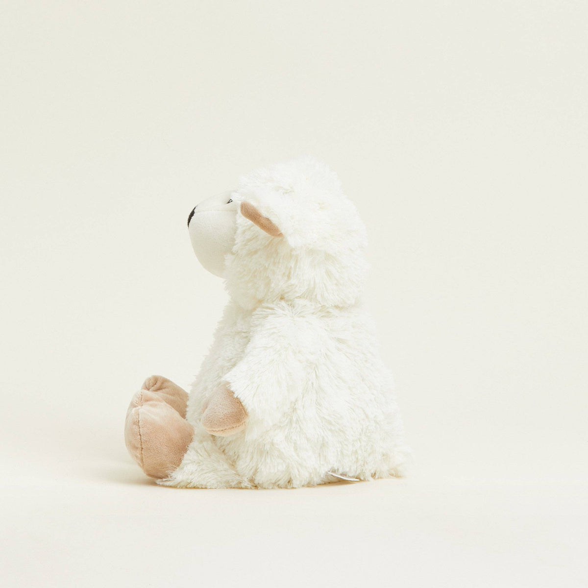 Sheep Warmies