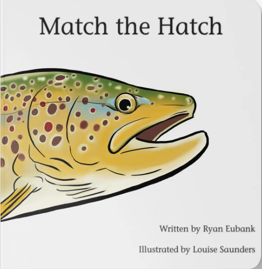 Match the Hatch Children's Book