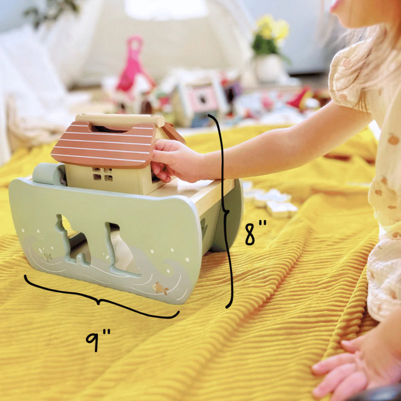 Noah's Ark Shape Sorter