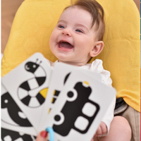 High Contrast Flash Cards For Newborn and Baby