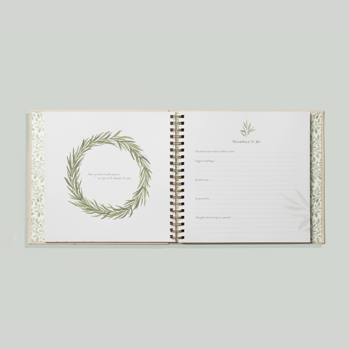 As You Grow: A Modern Memory Book for Baby (Baby Shower)