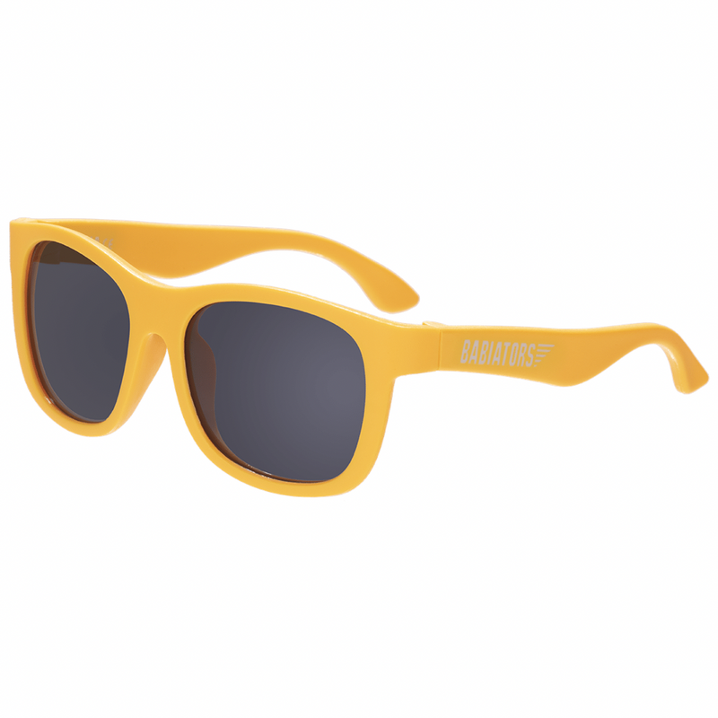 Navigator Sunglasses  (More Colors)