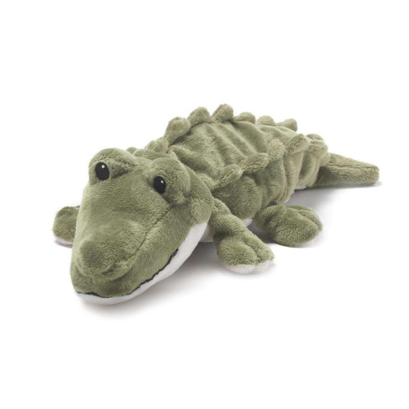 Junior Alligator